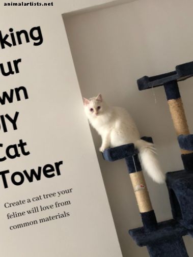 Cómo hacer tu propia torre de gato o árbol de gato