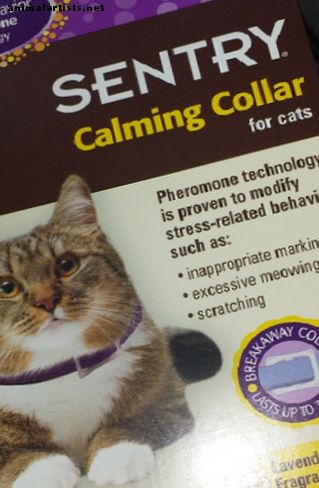 Sentry Calming Collar Review: ¿detiene el rociado y el rascado del gato?