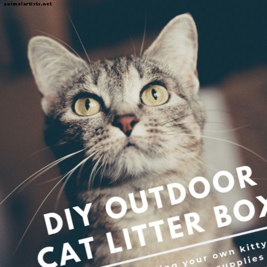 Kako sestaviti zunanjo škatlo za mačke