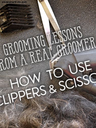 Lecciones de un peluquero: cómo usar tijeras y tijeras