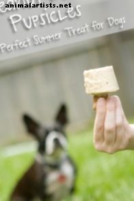 "Pupsicles" de mantequilla de maní: receta casera de golosinas para perros gourmet (con fotos)