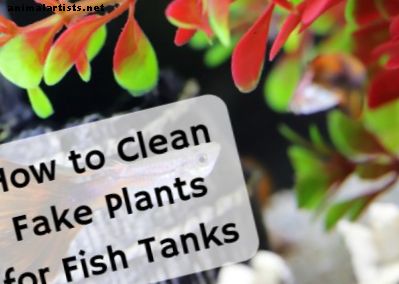 Cómo lavar las plantas de acuario de plástico: limpieza de decoraciones de acuarios