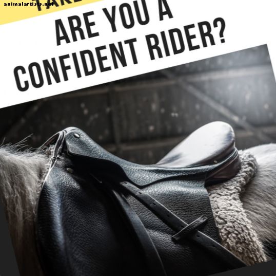 Prueba: ¿Qué tan seguro estás de un jinete a caballo?