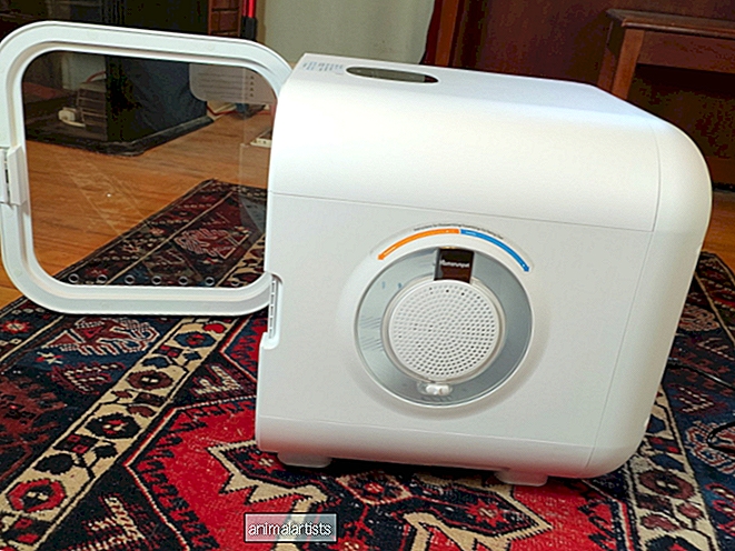 Revisión del secador automático para mascotas Homerunpet Drybo Plus