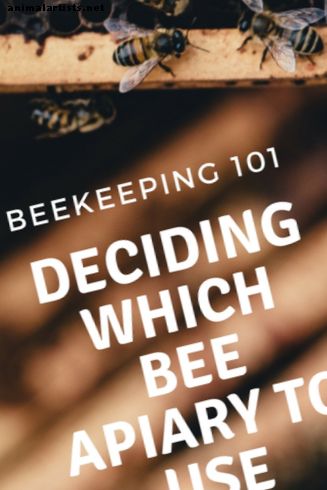 Apicultura y diferentes apiarios de abejas explicados