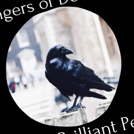 Vraževerje Črne vrane (česa sem se naučil, ko skrbim za vrano)