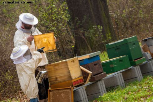 Mis kasu on mesindusest?